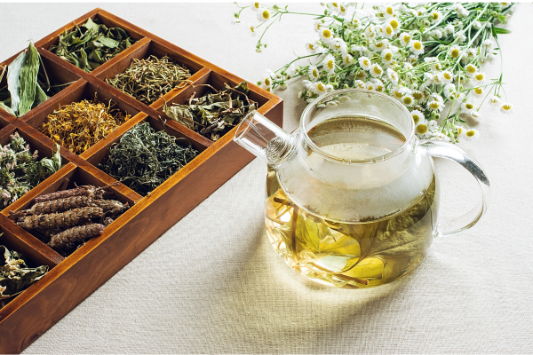 Hướng dẫn cách sử dụng trà thảo mộc thông thái cho sức khỏe