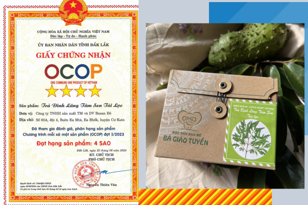 chọn trà thảo mộc theo cơ địa